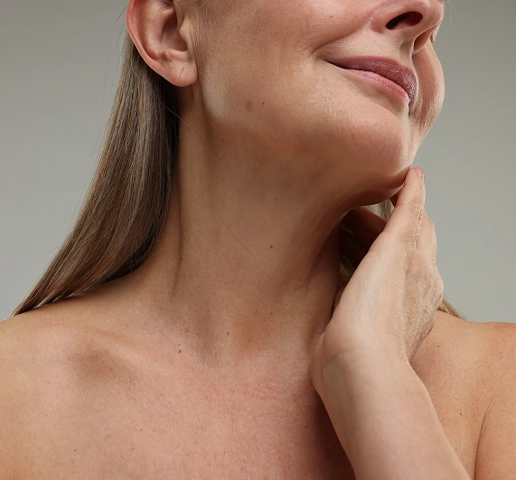 Initial Consultation & Preparation Banner