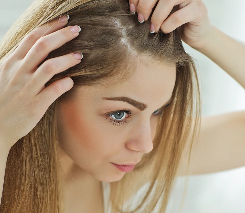 Head Lice Treatment in Phoenix, AZ Banner