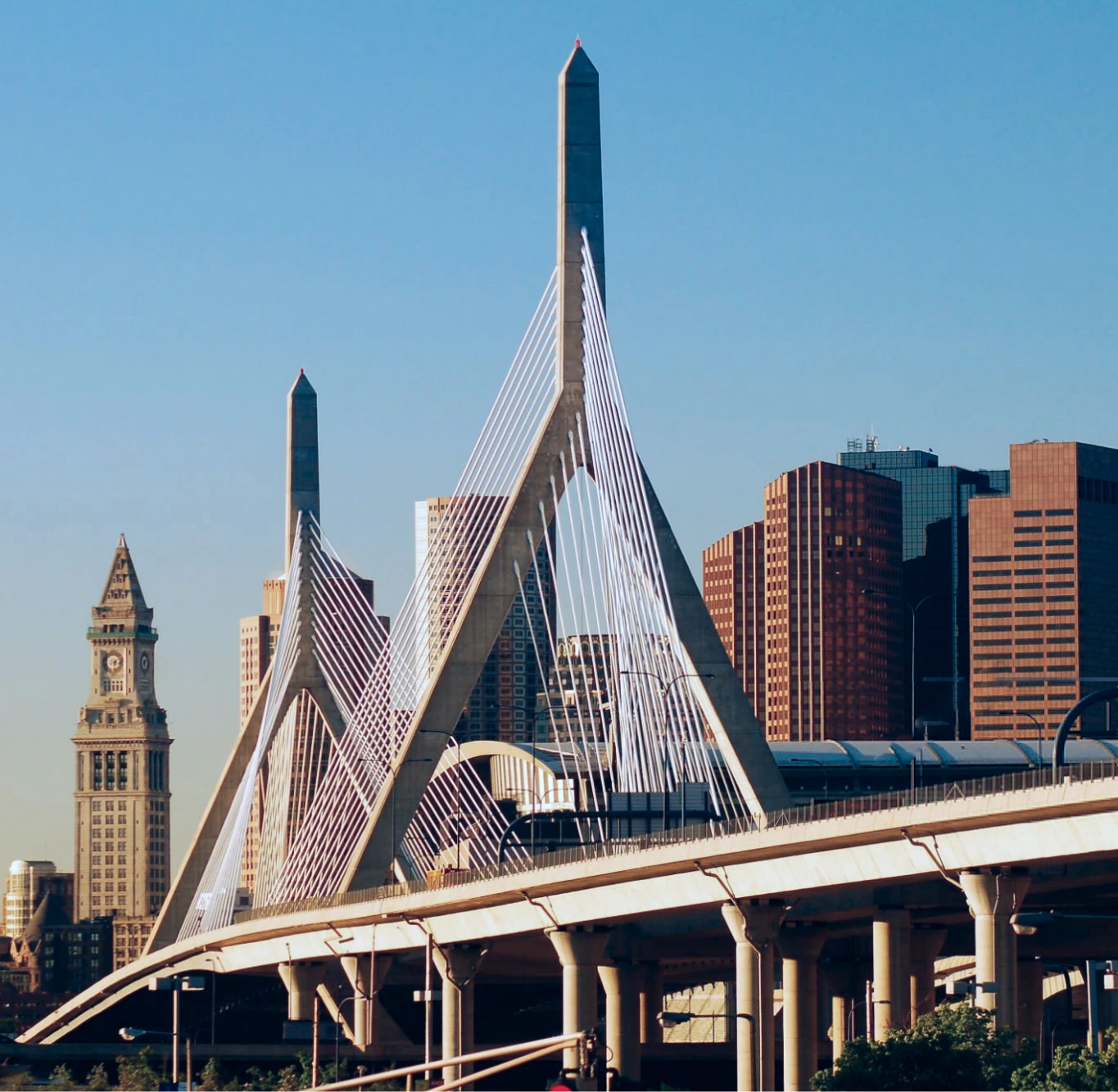 Why People Choose Regeneris Medical? Banner