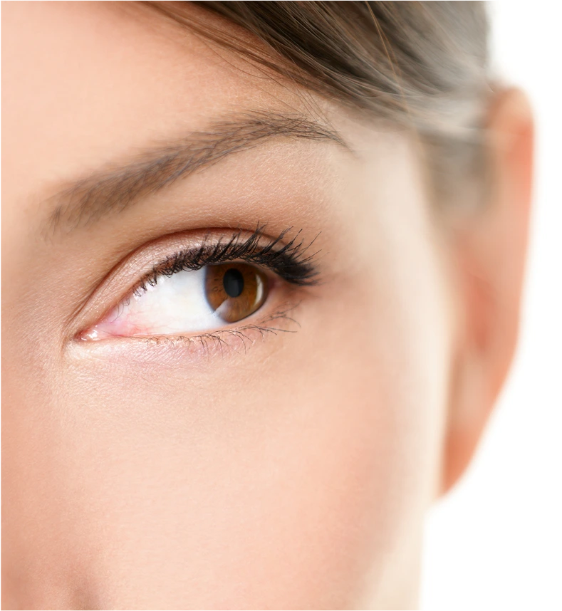 Complementary Procedures Banner