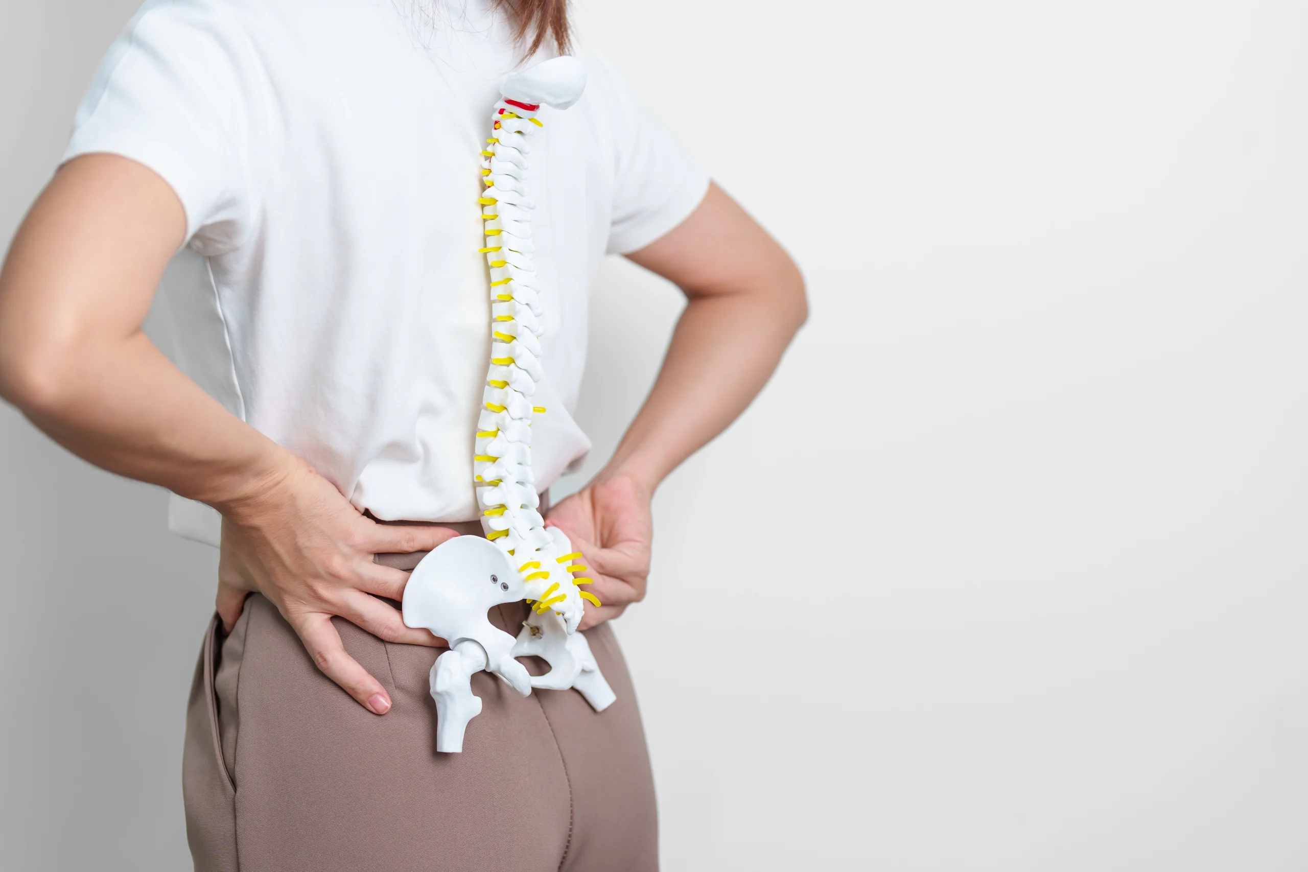 What is Degenerative Disc Disease? Symptoms and Causes Banner