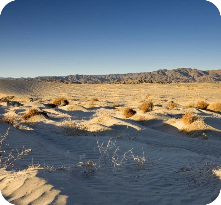 Why Air Purification Matters in the Desert Coachella Valley, CA Banner