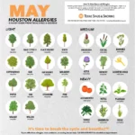 Monthly Allergy Guide