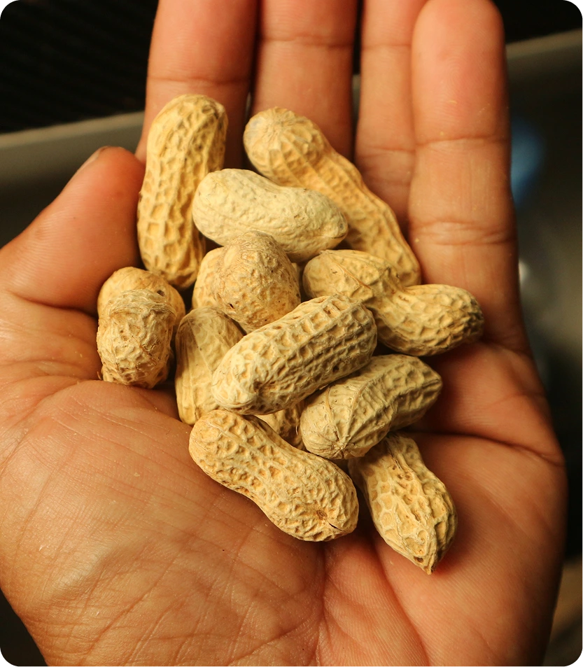 What to Expect During Your Appointment San Mateo, CA Banner