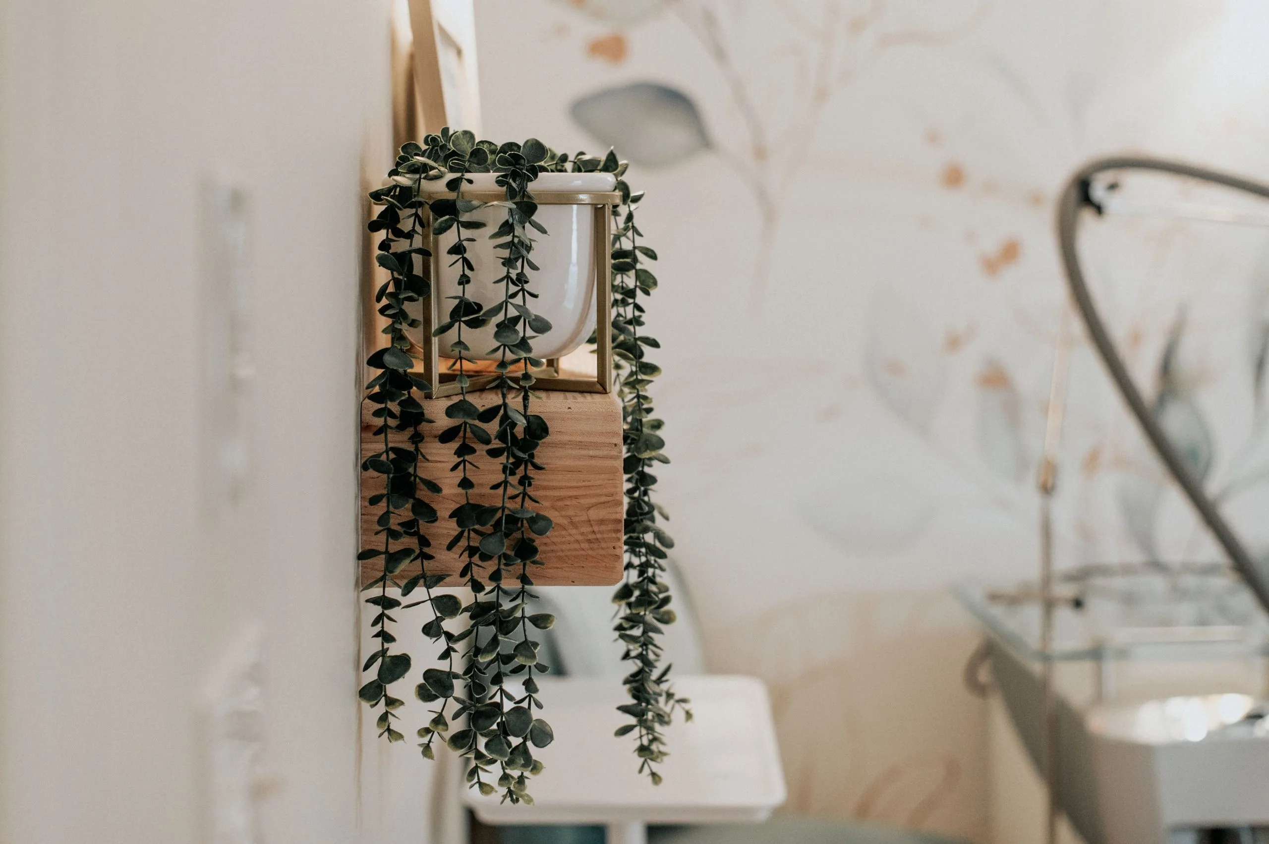 Trailing green plant in wooden wall planter at Thrive Med Spa + Wellness Portsmouth clinic