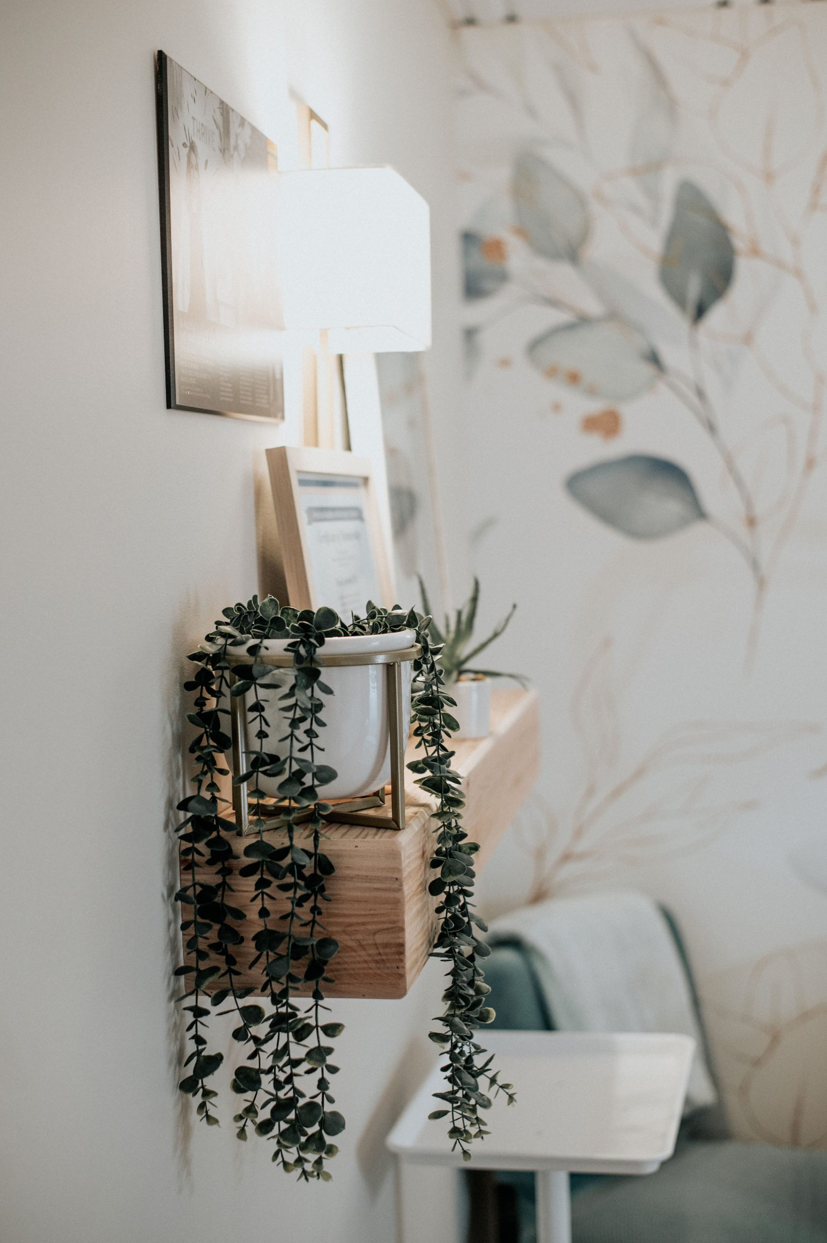 Thrive Med Spa treatment room interior with plants and shelf