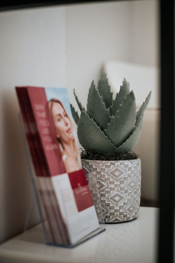 Succulent plant in patterned pot next to a cosmetic brochure on a shelf