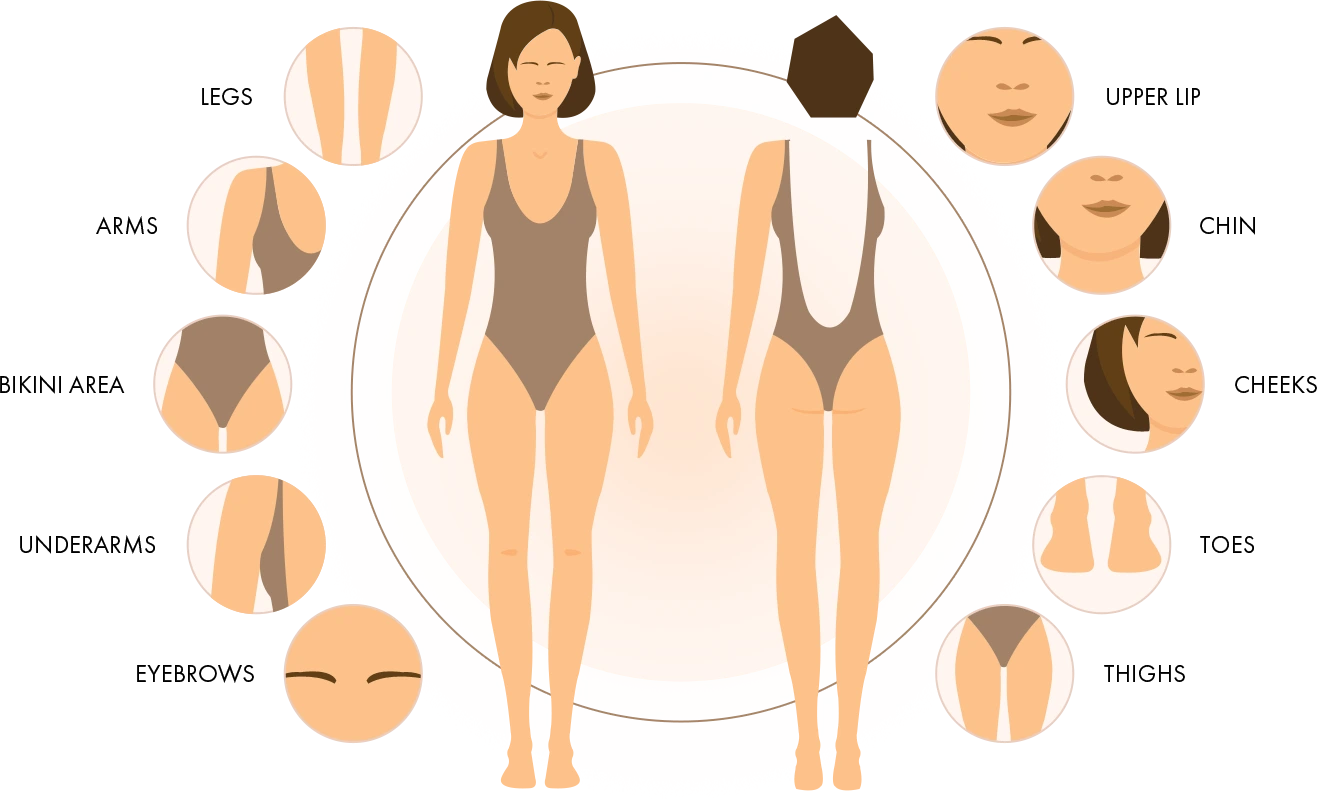 Waxing Treatment Areas Banner