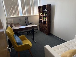 Bright consultation room with yellow armchair, desk, computer workstation, and wooden shelving with plants