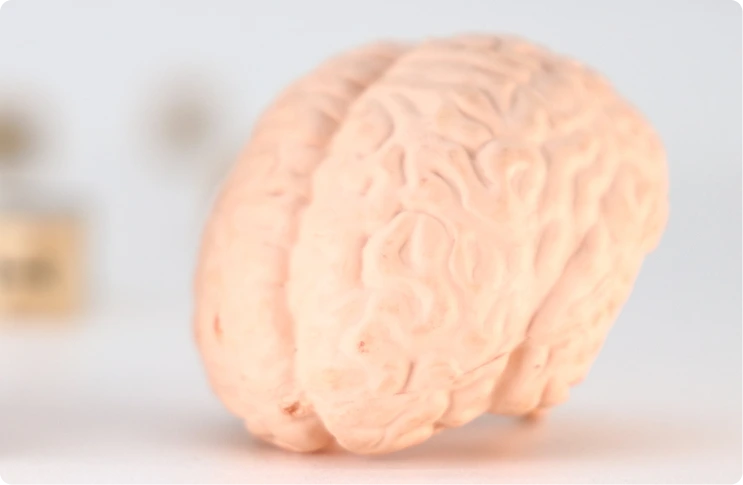 What Is Transcranial Magnetic Stimulation? Banner