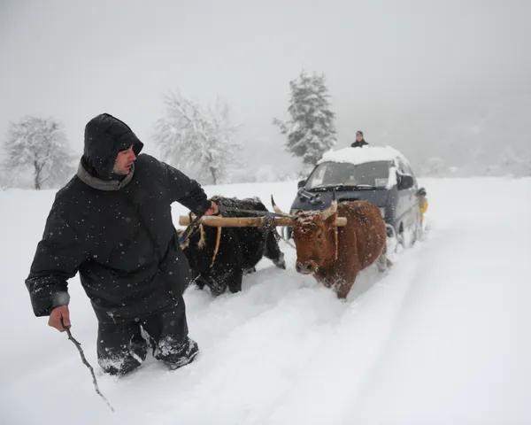 Øverst i Eventyrdalen