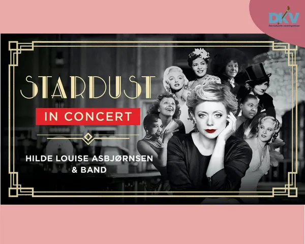 Stardust in concert