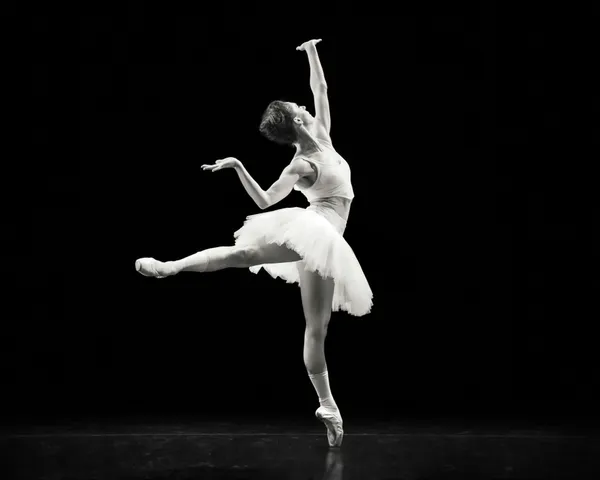 VinterKlassisk!  Bach og Ballett!