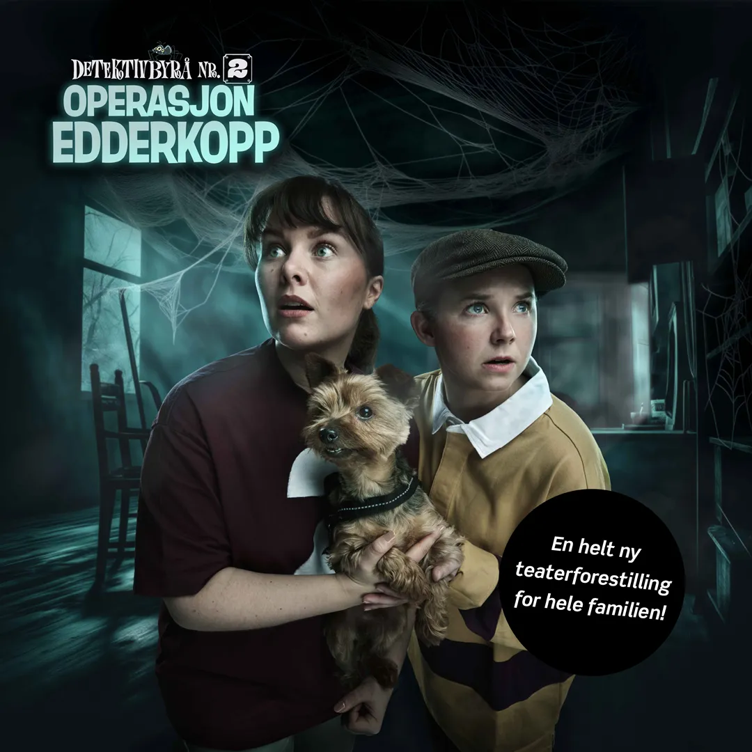 Detektivbyrå nr. 2 – Operasjon Edderkopp