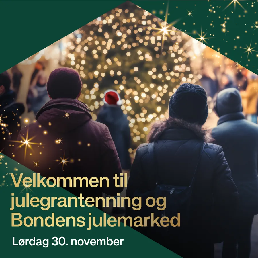 Juletretenning og Bondens julemarked