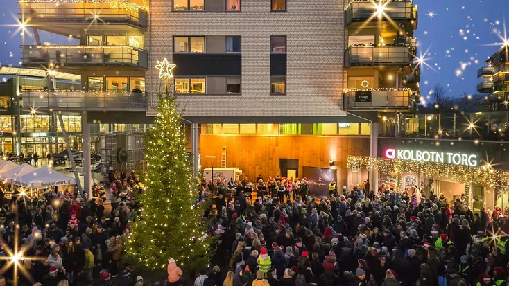 Juletretenning og Bondens Marked