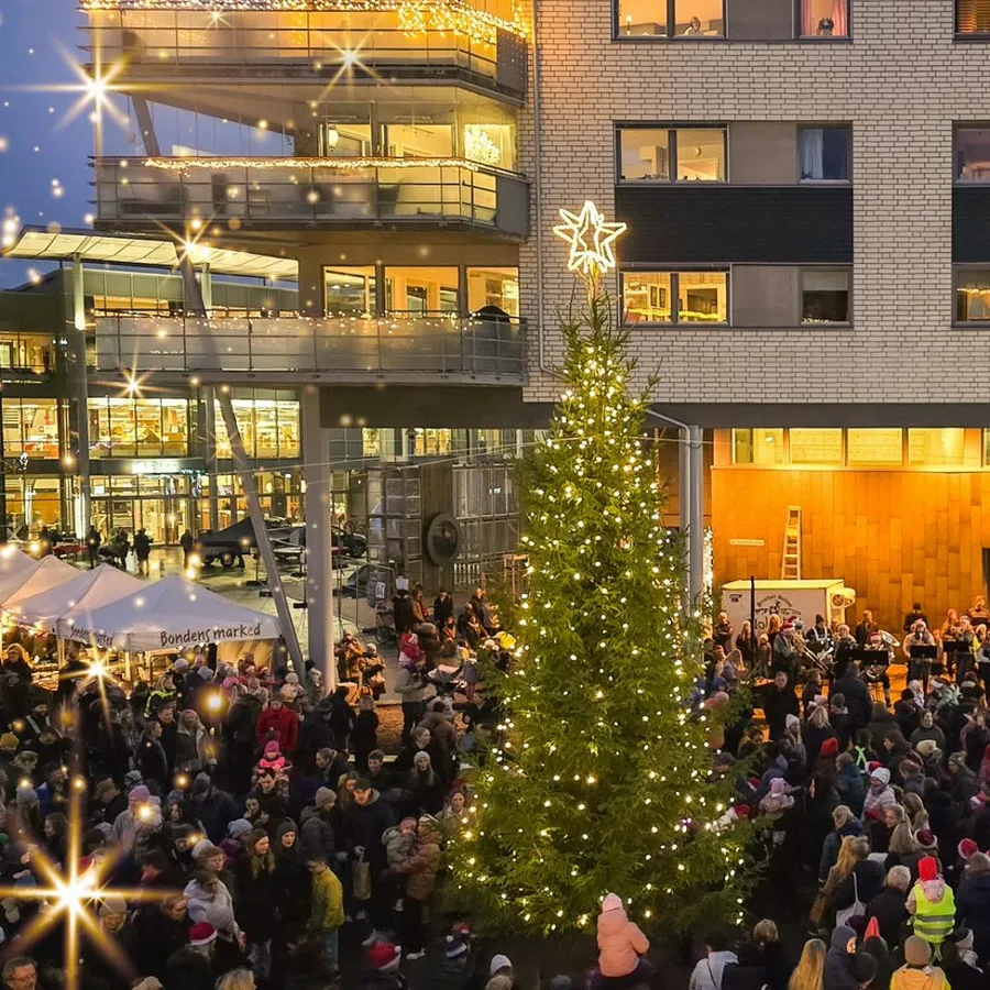 Juletretenning og Bondens Marked