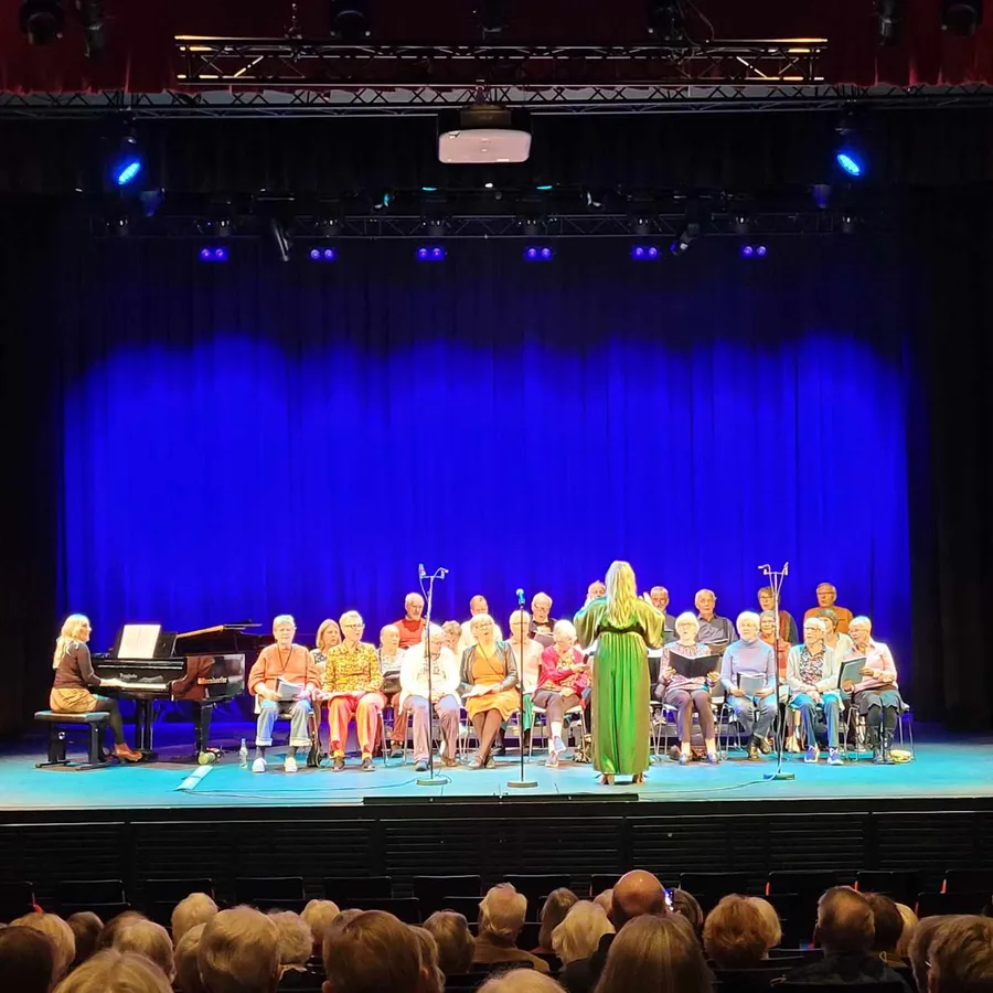 Julekonsert med Nordre Follo Demenskor