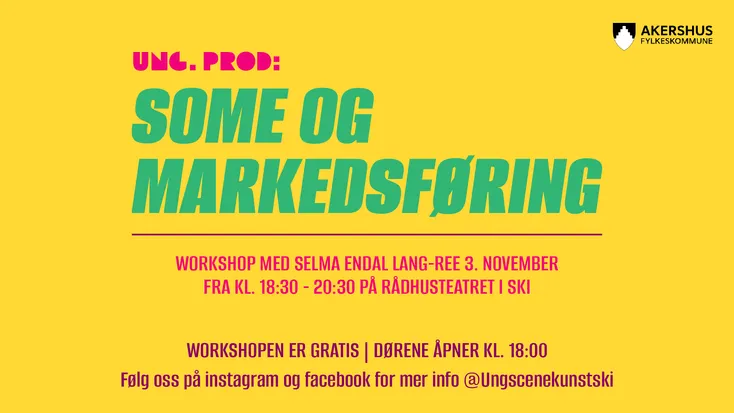 Ung. Prod: SoMe og Markedsføring