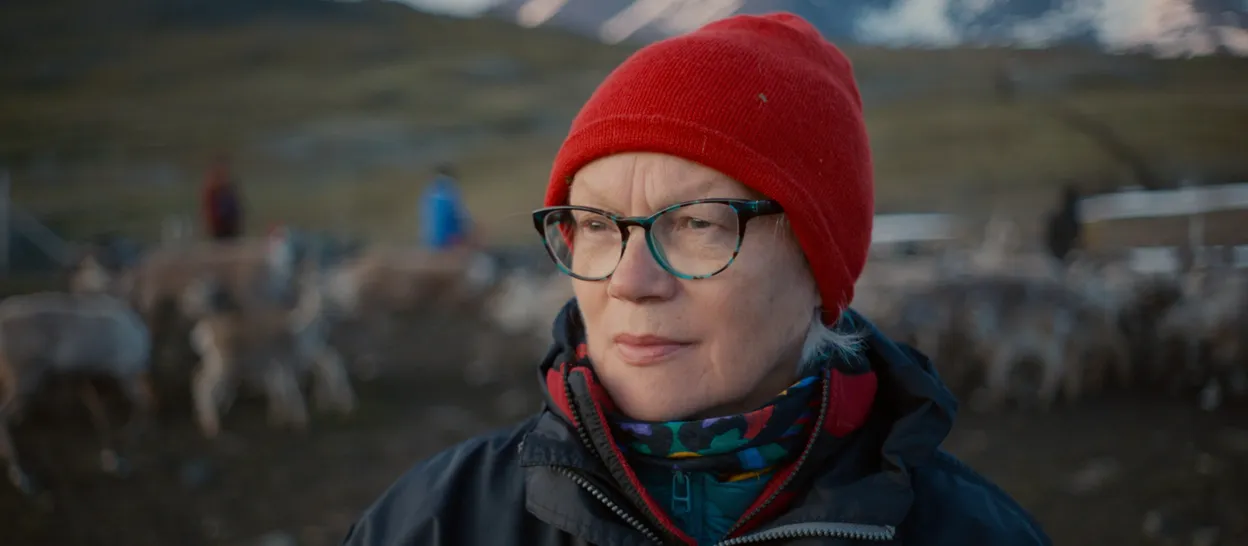 Historjá – Broderi for Sápmi