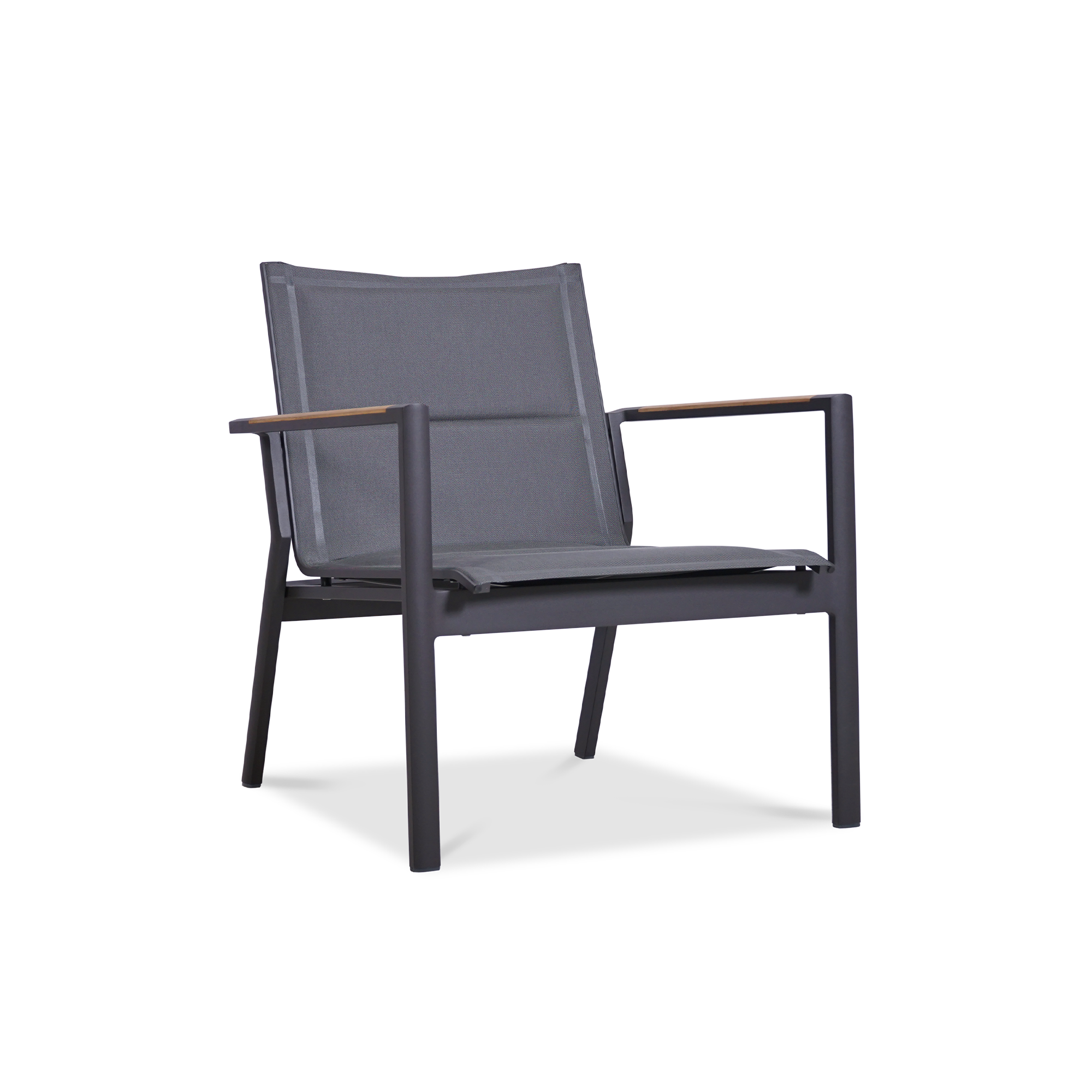 Gazelig Lounge Armchair Padded