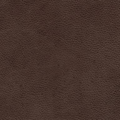 [L5] Leather Cocoa