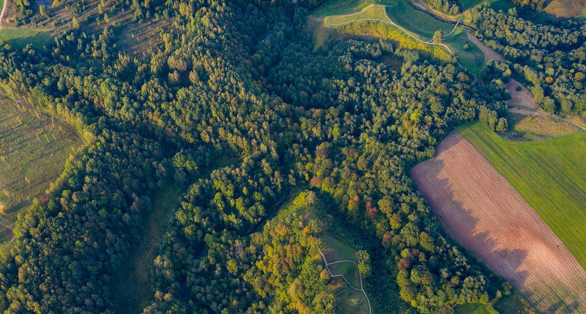 Aerial view of a responsibly managed forest