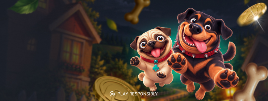 Cassino Pin-Up APK: acesso rápido no celular para jogadores do Brasil
