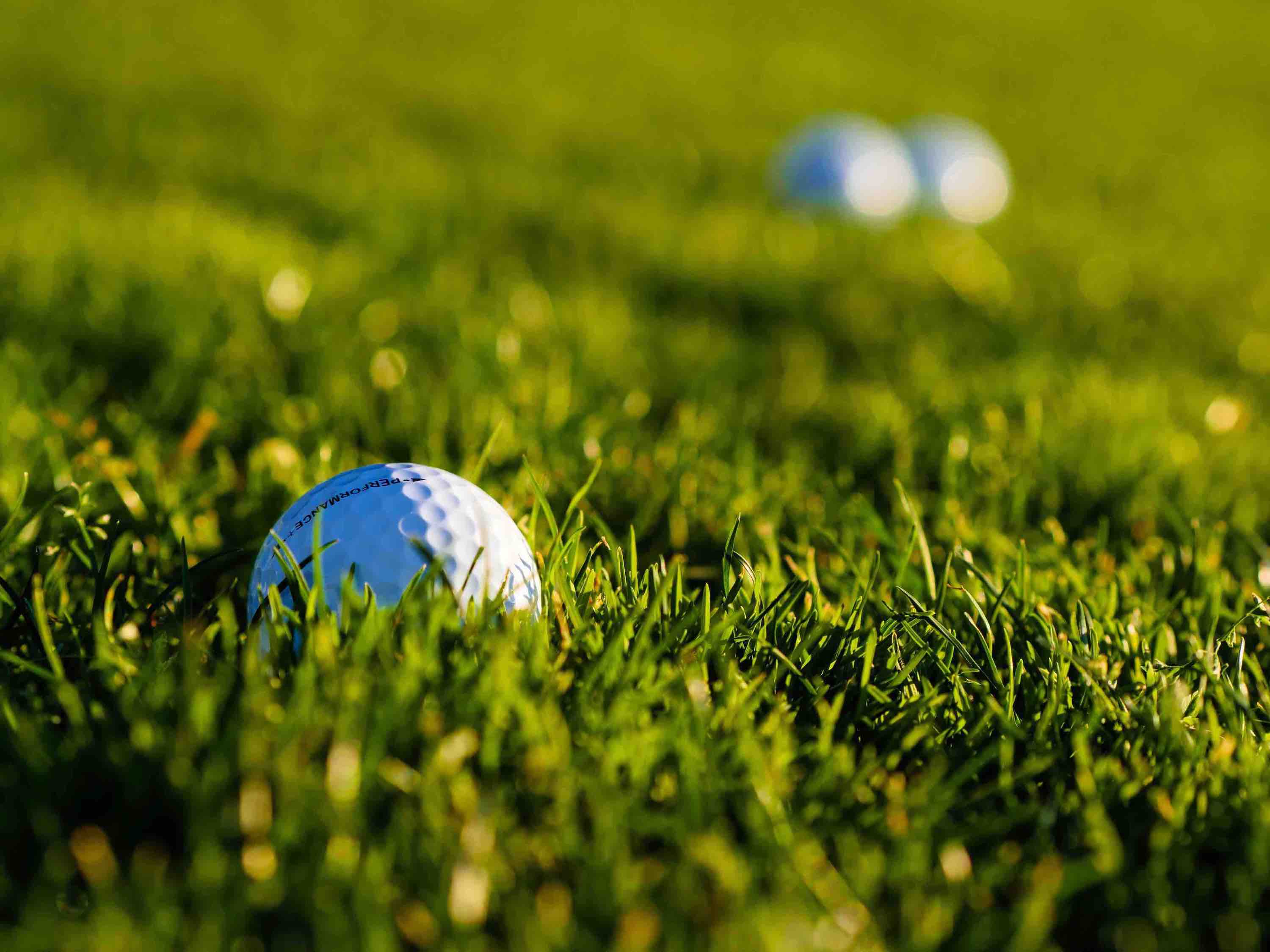 A golfball sitting in rough grass