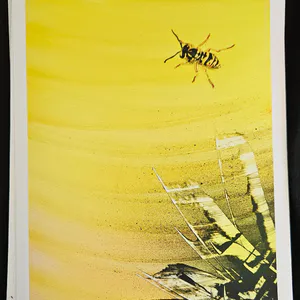 Print "The Wasp"