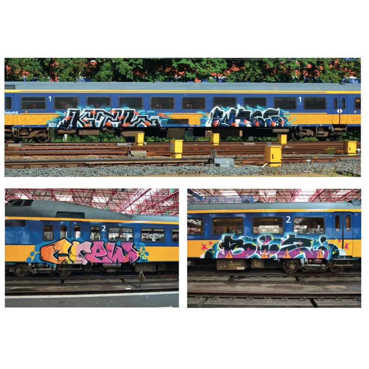BAMN 7