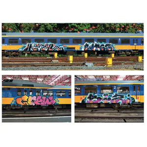 BAMN 7
