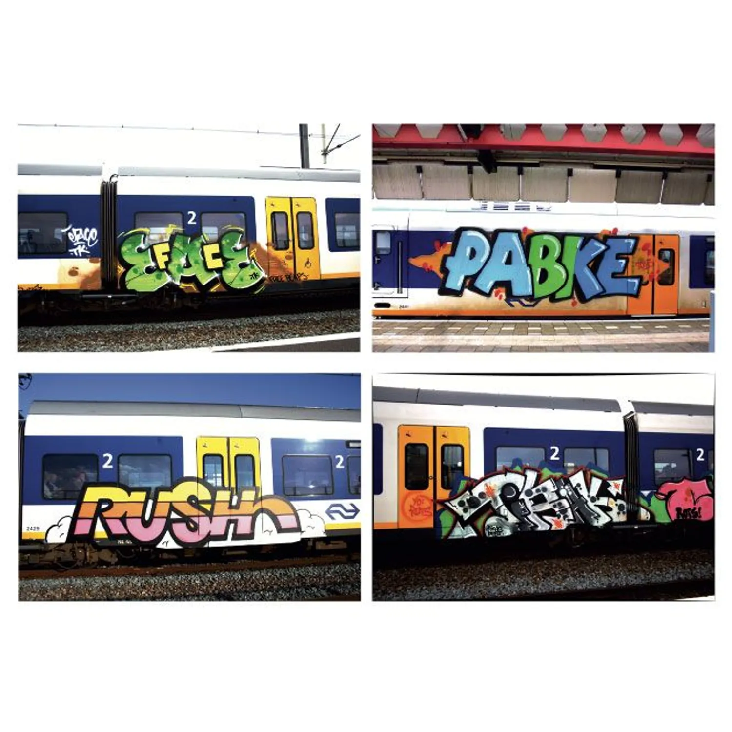 BAMN 1