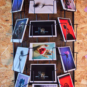 postcards Dark Flowers