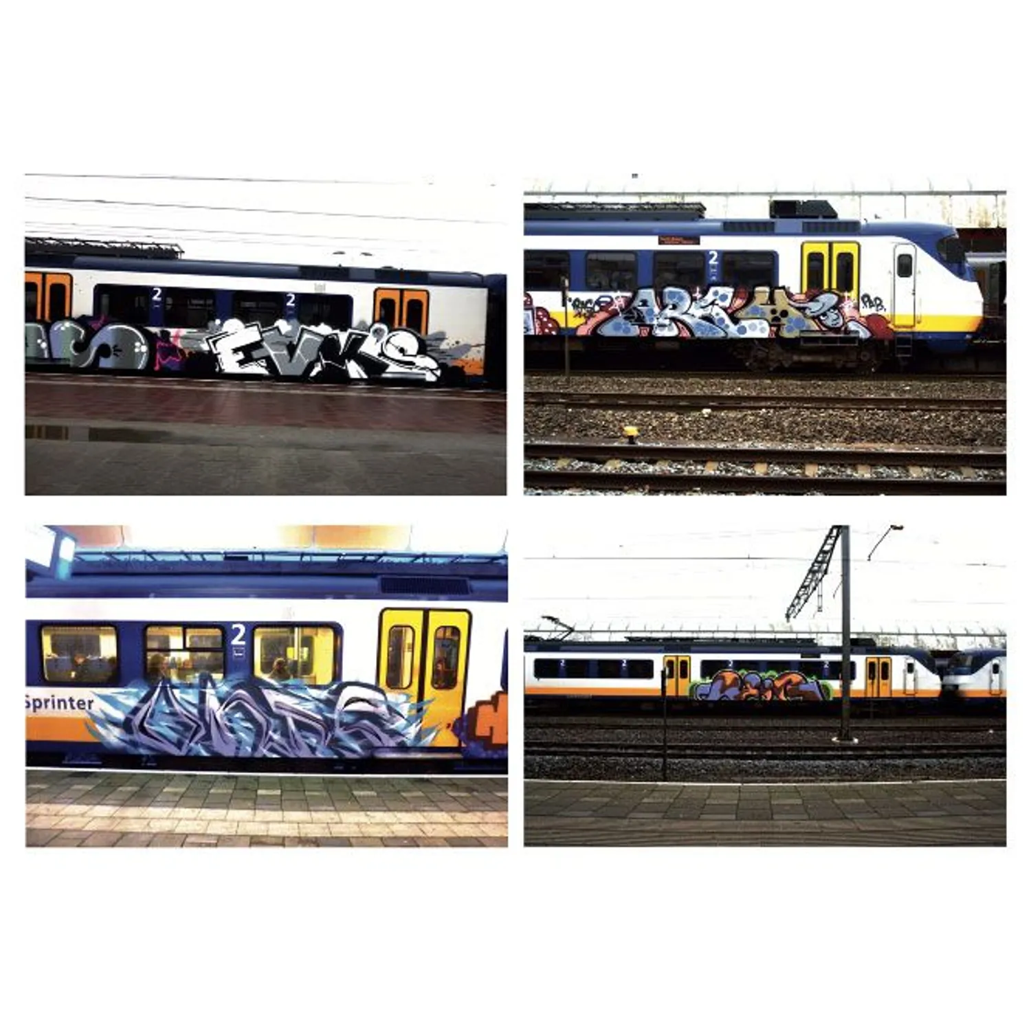 BAMN 1