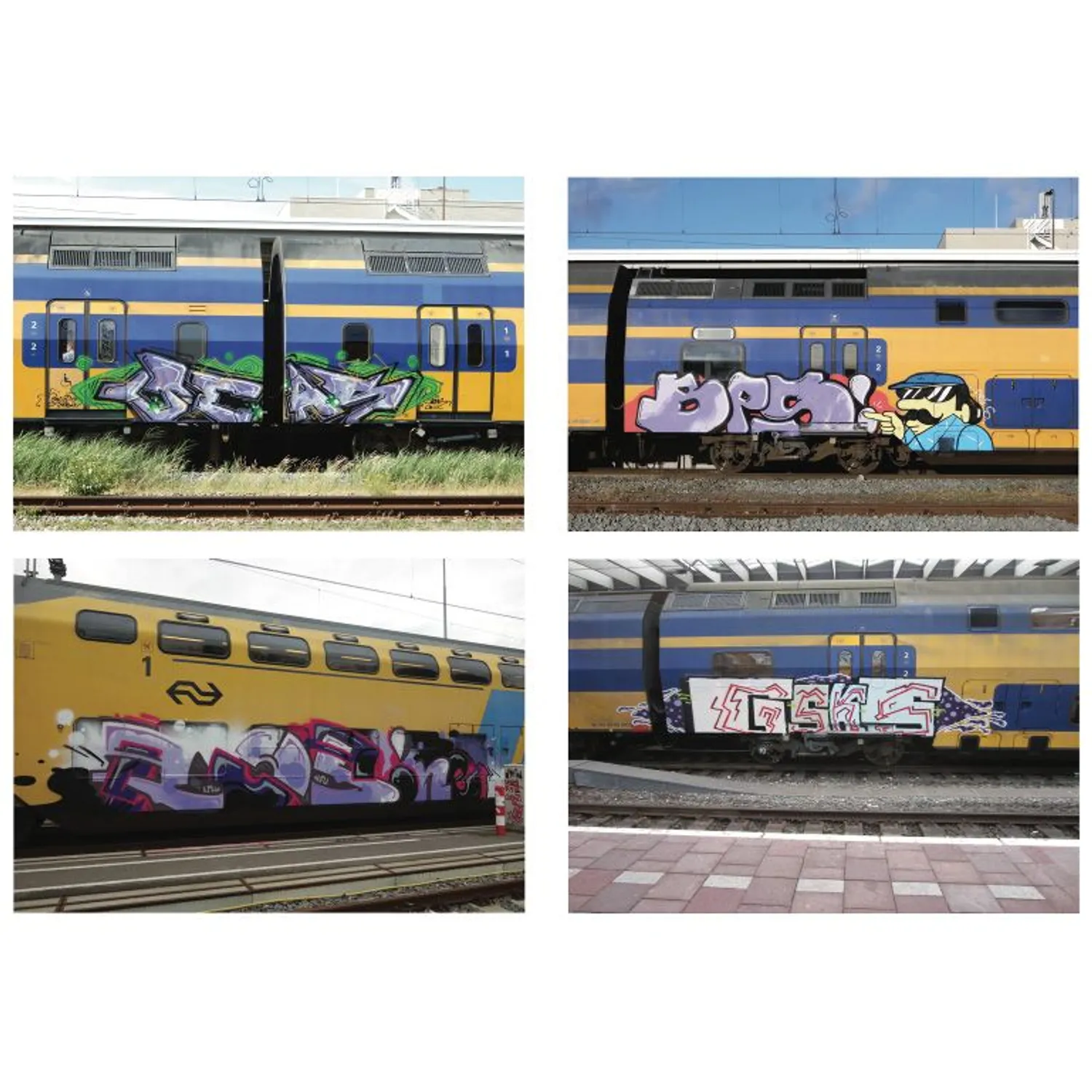 BAMN 3