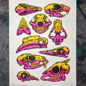  Comparative Anatomy - Riso Print