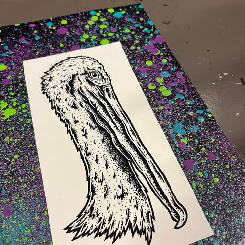 Handdrawn Pelican Framed