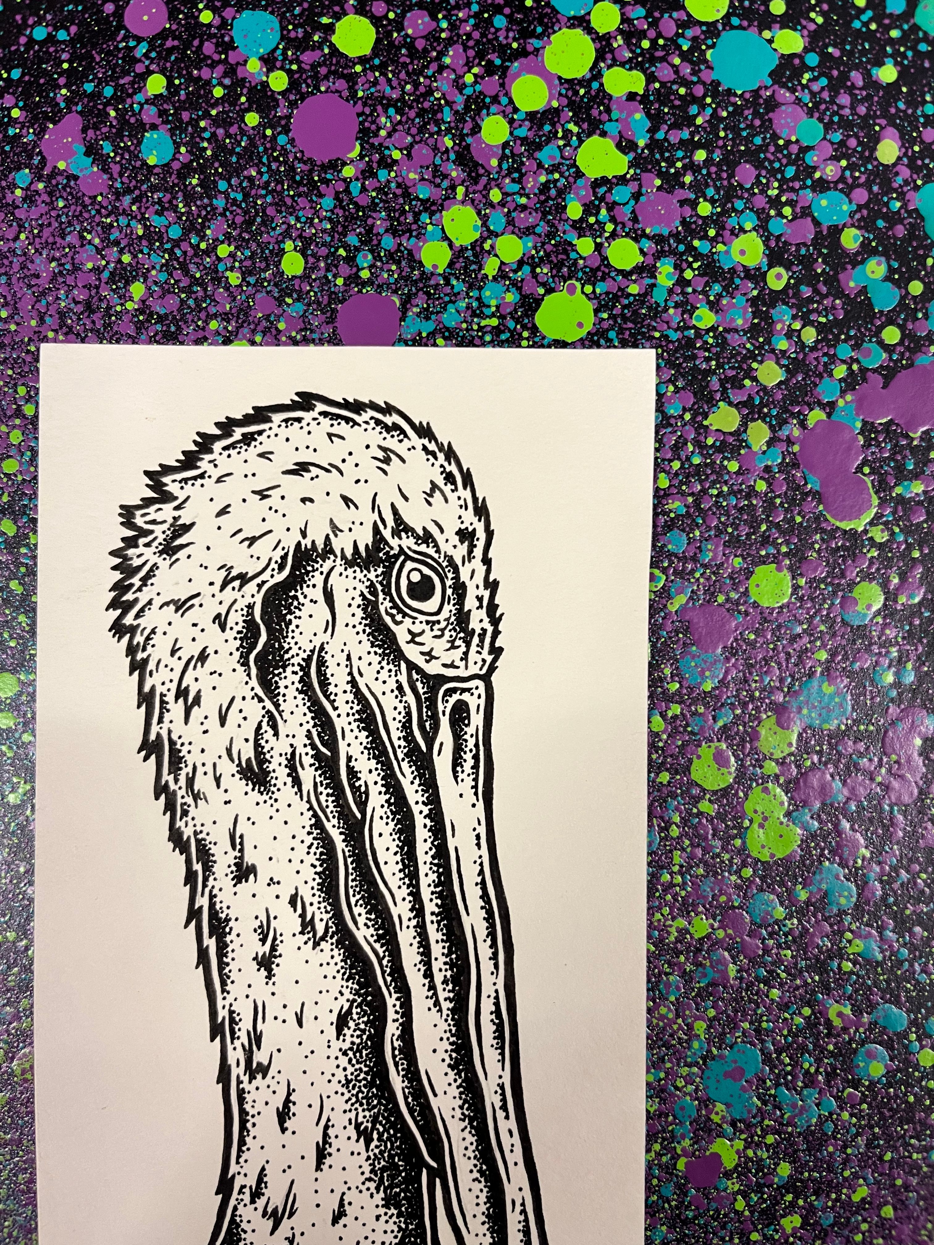 Handdrawn Pelican Framed