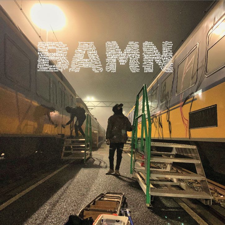BAMN 6