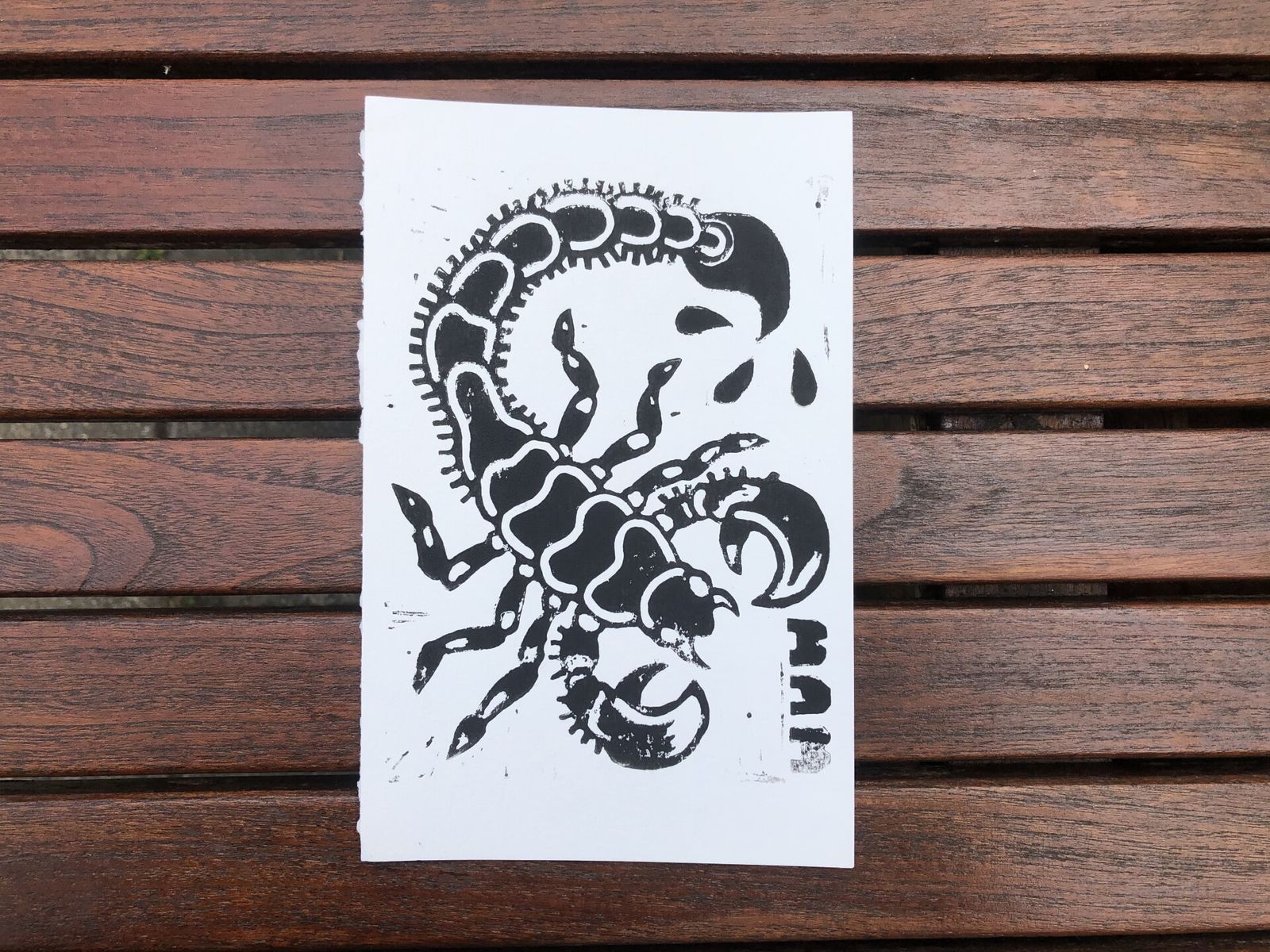 Scorpion lino