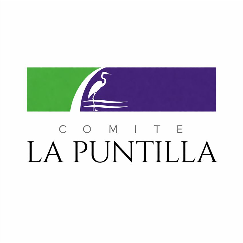 Puntilla