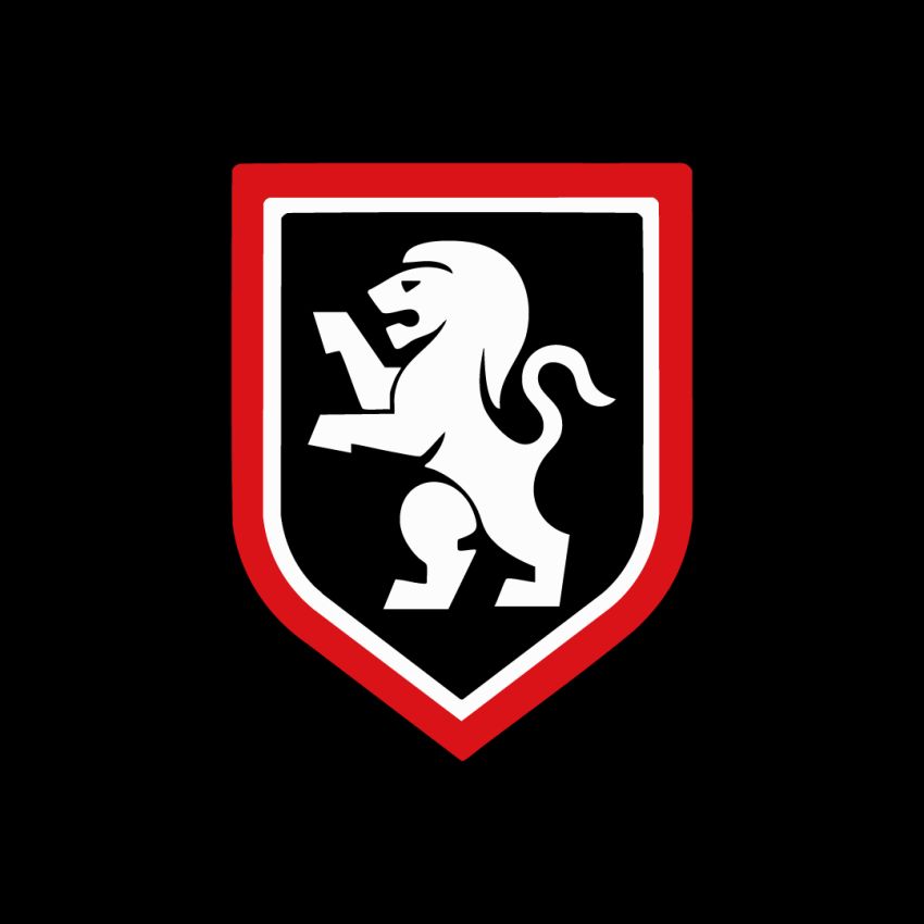 Manrique Seguridad