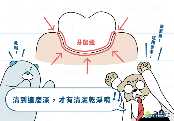 牙線_牙線清潔死角_清潔牙齦縫