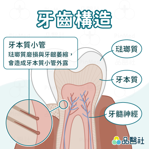 敏感性牙齒_敏感性牙齒原因