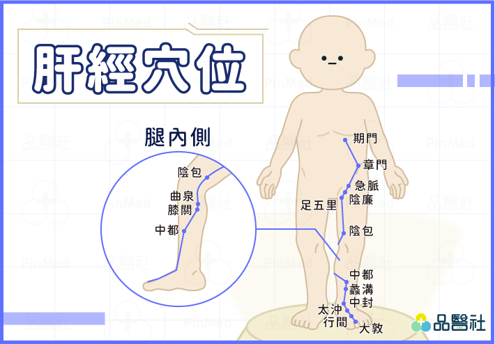 肝經穴道_肝經穴位