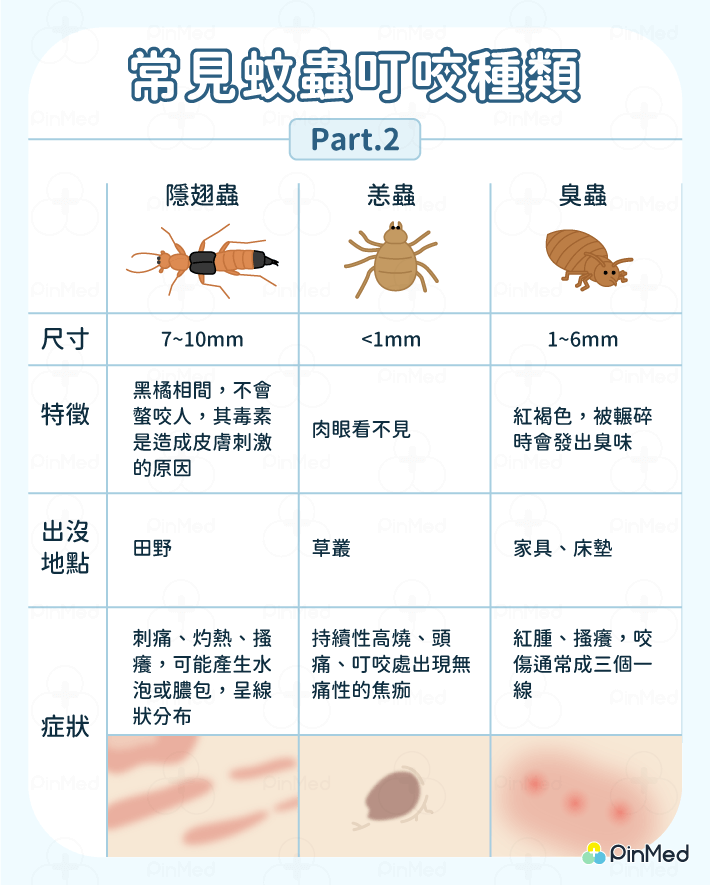 蚊蟲叮咬_隱翅蟲、恙蟲、臭蟲