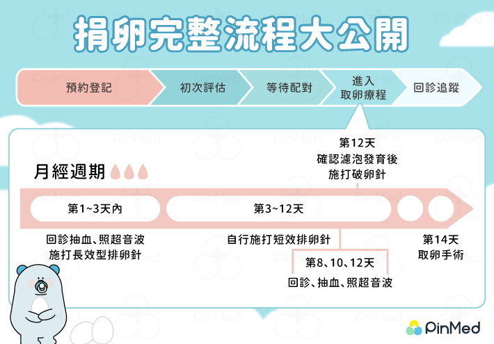 捐卵_流程圖