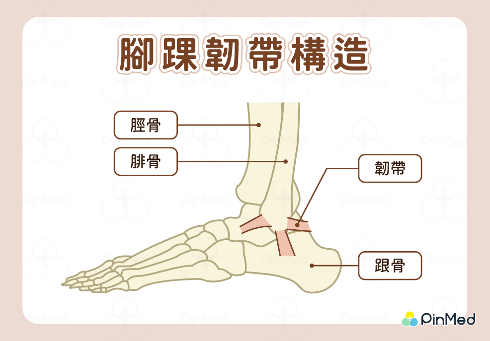 腳踝扭傷_腳踝