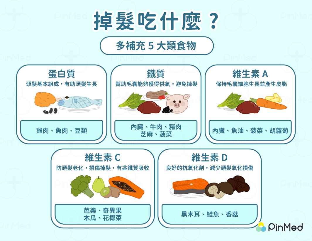 掉髮原因_吃什麼